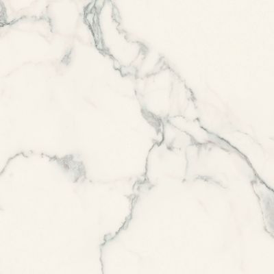 Label 1