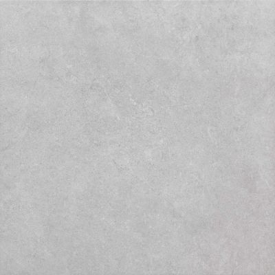 ECOPROJECT SILVER